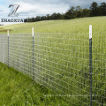 Prix ​​de gros Galvanisé Maux métalliques pour la clôture de la ferme